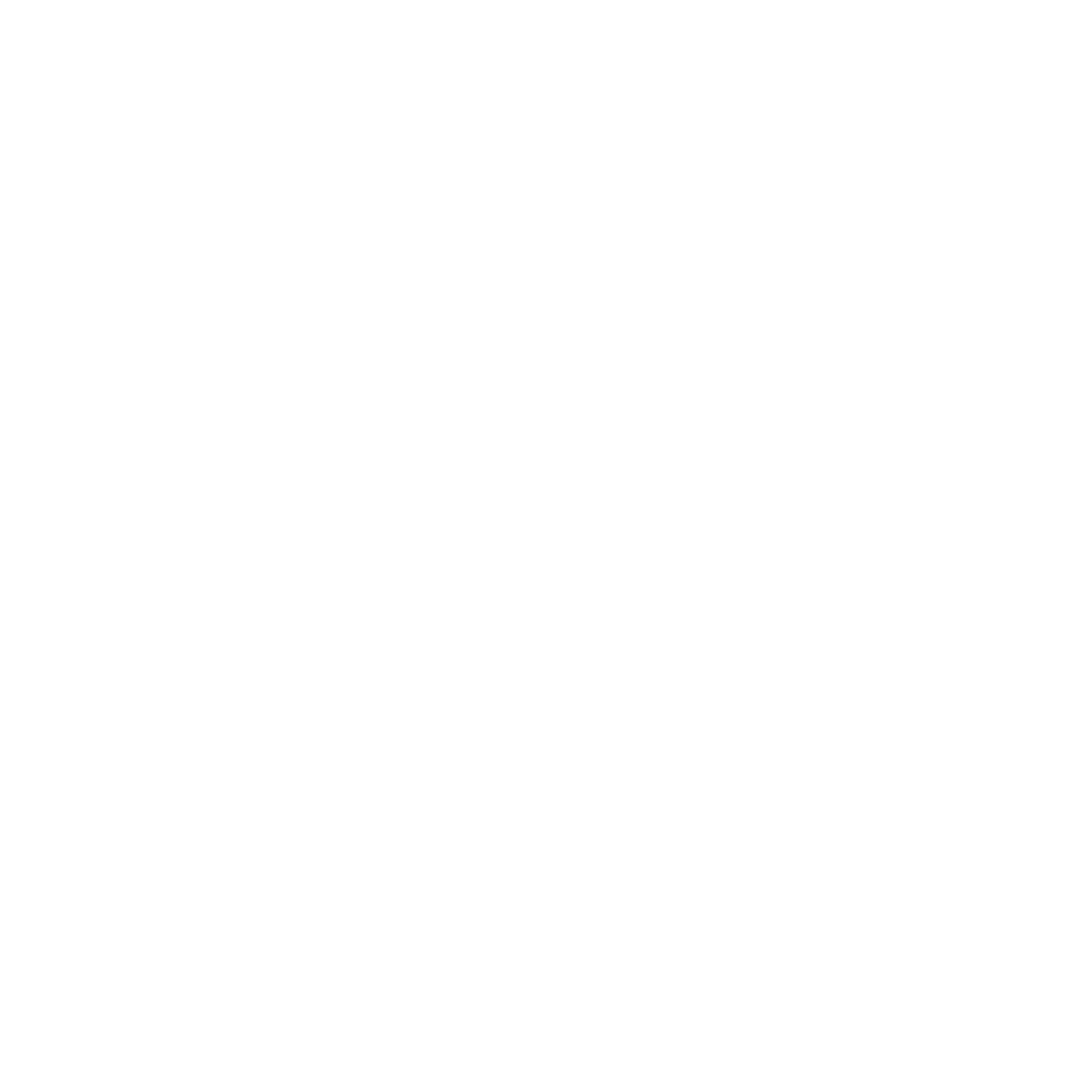 R1SE